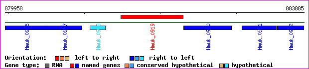 gene map