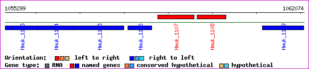 gene map