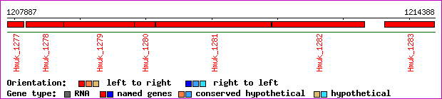 gene map