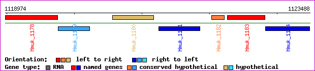 gene map