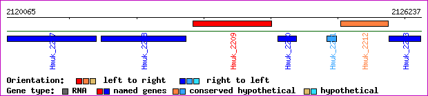 gene map