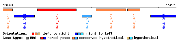 gene map