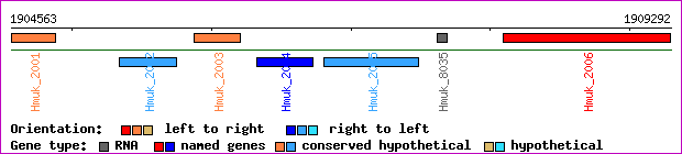 gene map