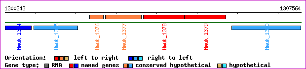 gene map