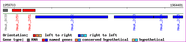 gene map