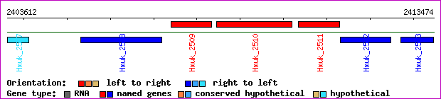 gene map