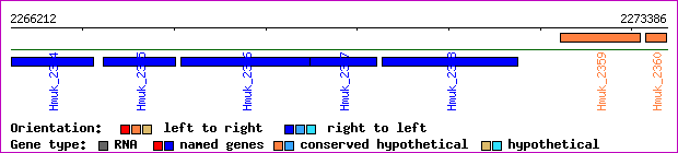 gene map