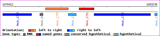 gene map