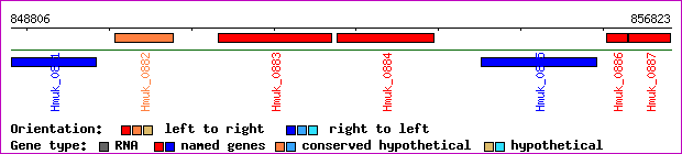 gene map