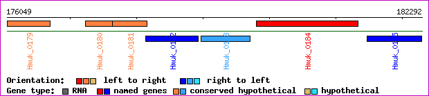 gene map
