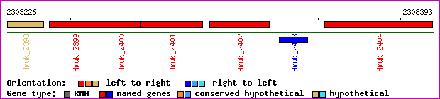 gene map