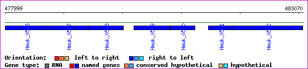 gene map