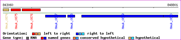 gene map