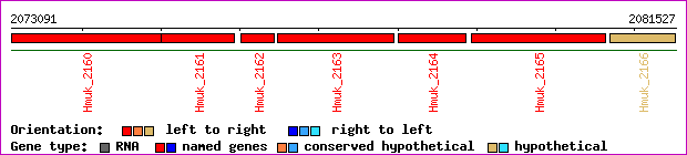 gene map