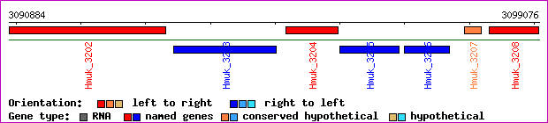 gene map