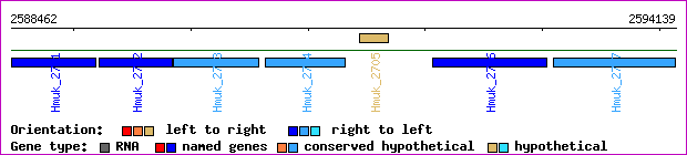 gene map