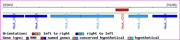 gene map
