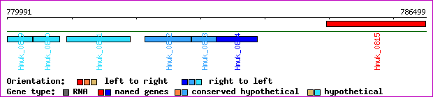 gene map