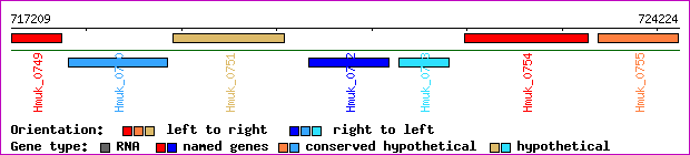 gene map
