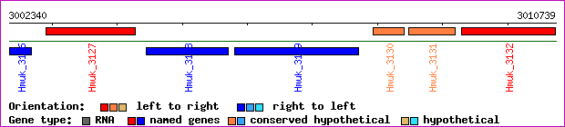 gene map