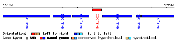 gene map