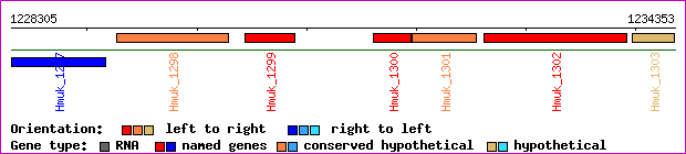 gene map