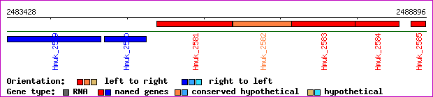 gene map