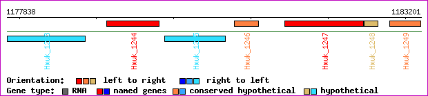 gene map