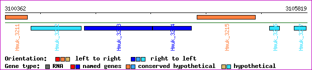 gene map