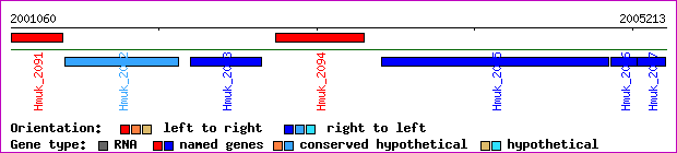 gene map