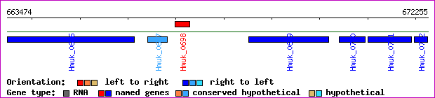 gene map