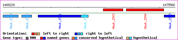 gene map
