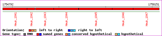 gene map