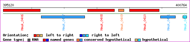 gene map