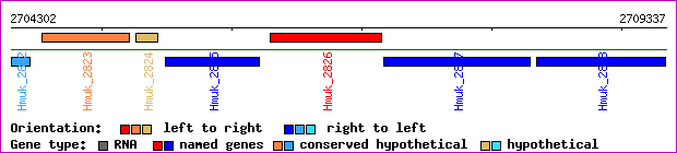gene map