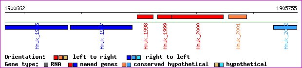 gene map