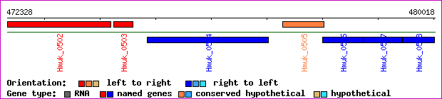 gene map