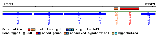 gene map