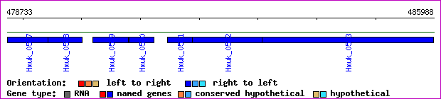 gene map