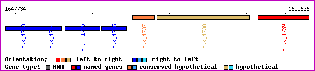 gene map