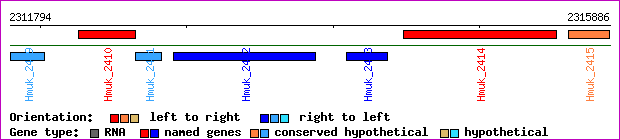 gene map