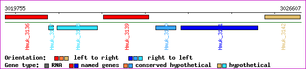 gene map