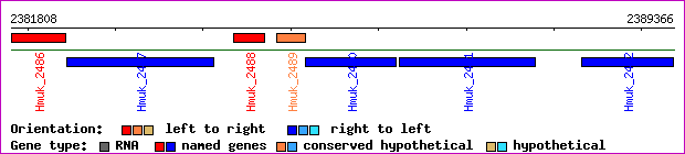 gene map