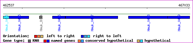 gene map
