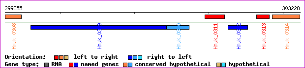 gene map