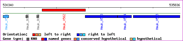 gene map