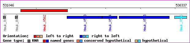 gene map