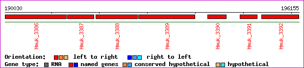 gene map