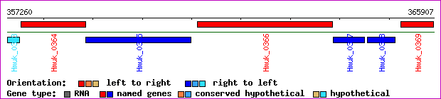 gene map