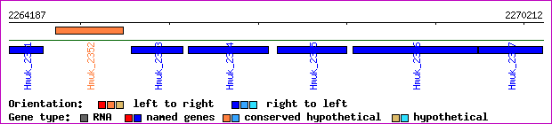 gene map